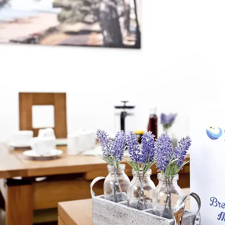 Avon Beach Bed & Breakfast-2